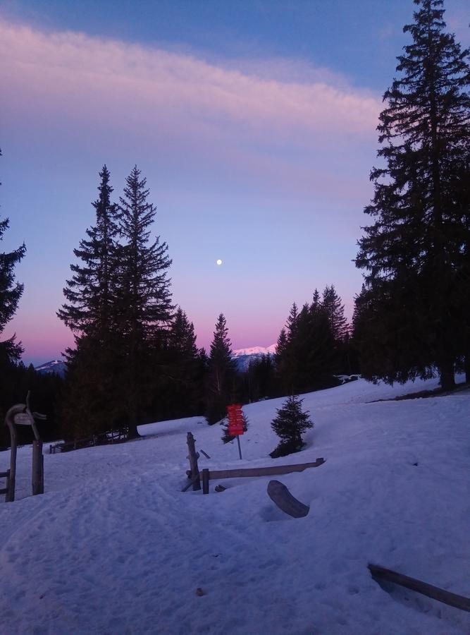Mountain Lodge Smrekovc Sostanj Kültér fotó